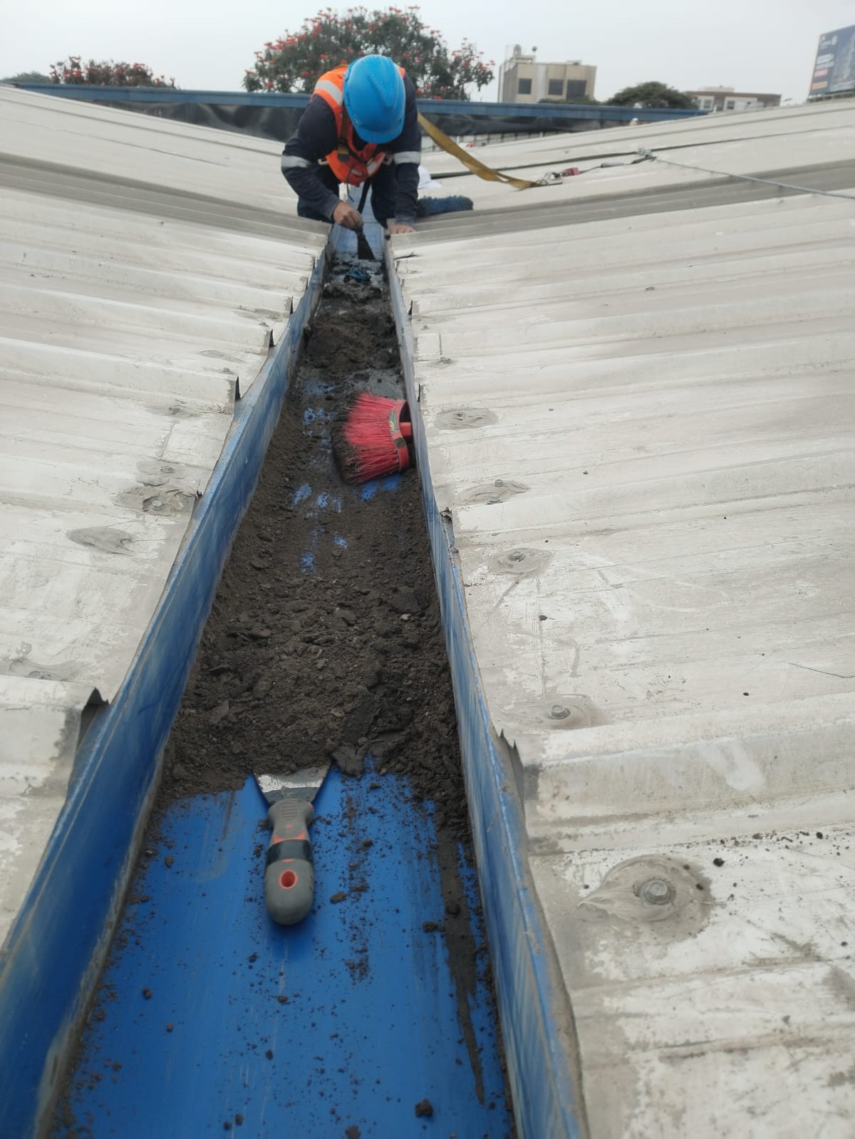 Imagen principal del proyecto